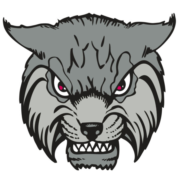 BAW BOBCAT 02 RC Miniaturansicht