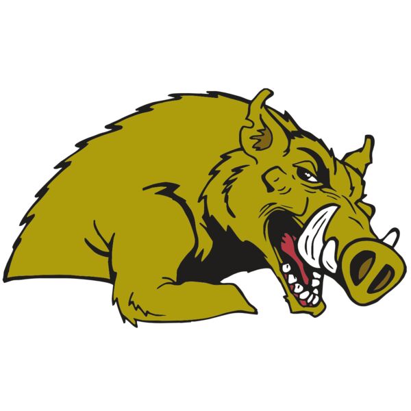 AR RAZORBACK 23 RC Miniaturansicht