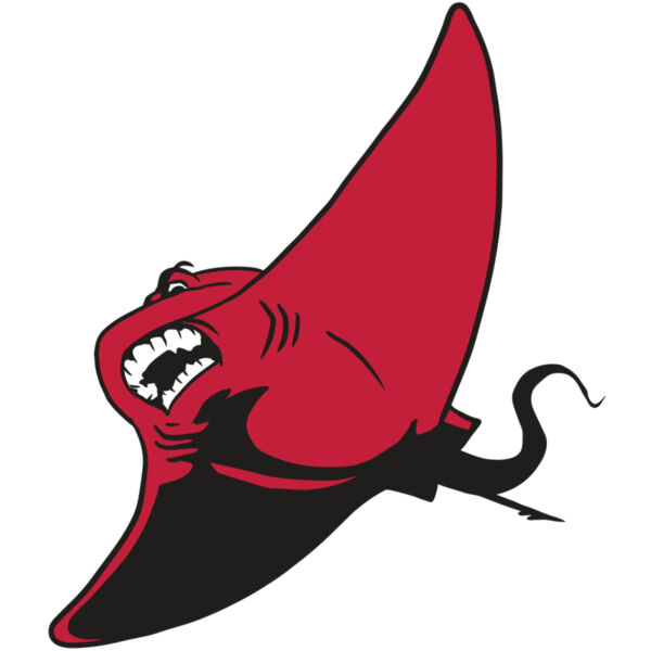 AR19 STINGRAY 04 RQC Miniaturansicht