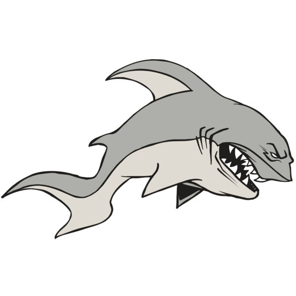 AR5 Shark 10 RQC Miniaturansicht