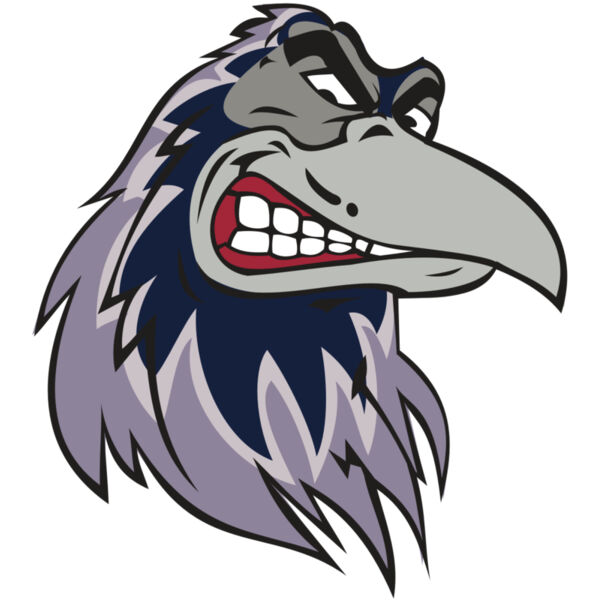 RAVEN HD0504 RQC Miniaturansicht