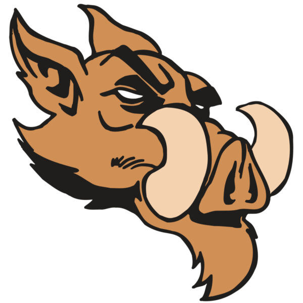 AR5 Razorback 16 RQC Miniaturansicht