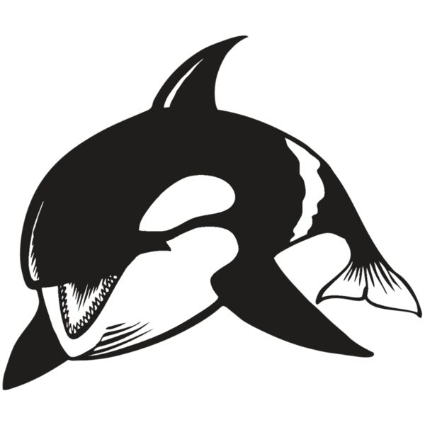 BAW KLRWHALE 04 RC Miniaturansicht