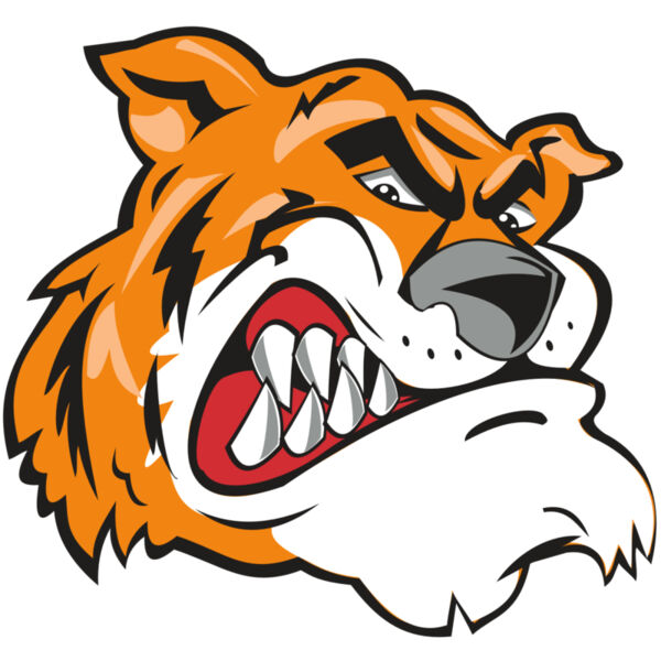 TIGER HD0503 RQC Miniaturansicht