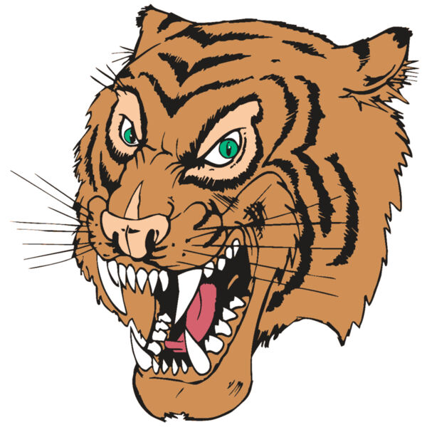 AR TIGER 49 RC Miniaturansicht