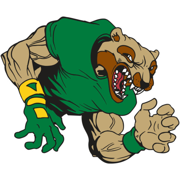 AR5 Wolverine 17 RQC Miniaturansicht