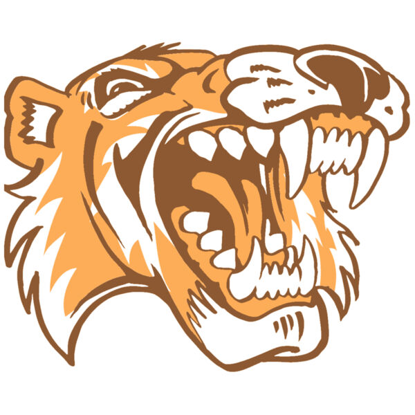 AR3 TIGER 01 RQC Miniaturansicht