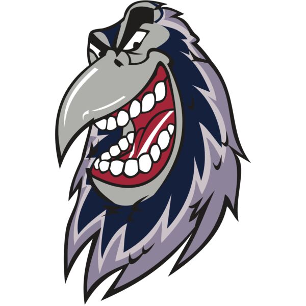 RAVEN HD0503 RQC Miniaturansicht