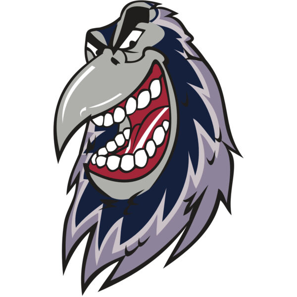 RAVEN HD0503 RQC Miniaturansicht