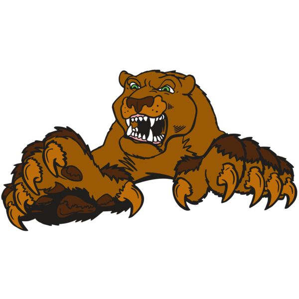 AR5 COUGAR 30 RQC Miniaturansicht