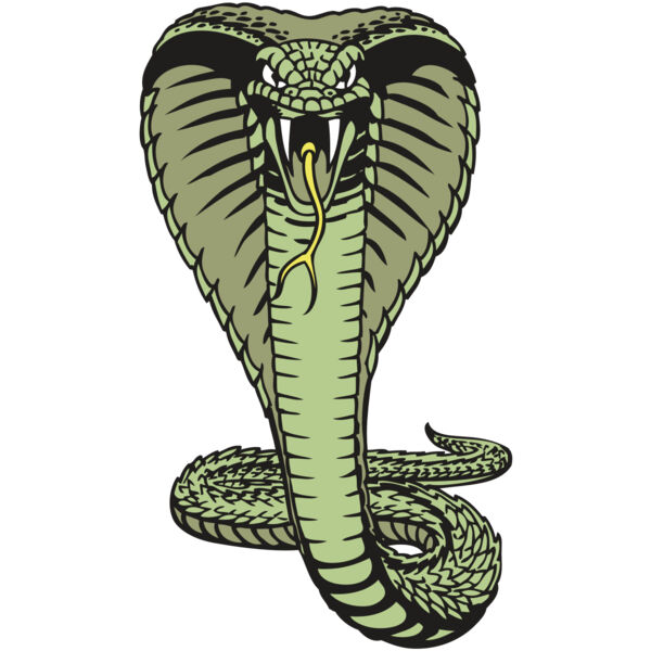 BAW SNAKE 15 RC Miniaturansicht