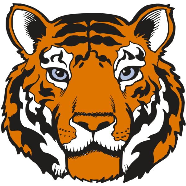 BAW TIGER 02 RC Miniaturansicht