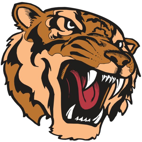 BAW TIGER 07 RC Miniaturansicht