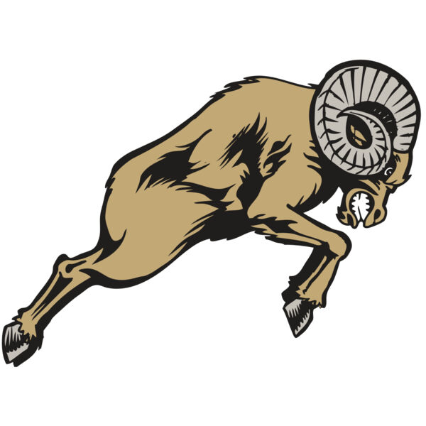 BAW RAM 04 RC Miniaturansicht