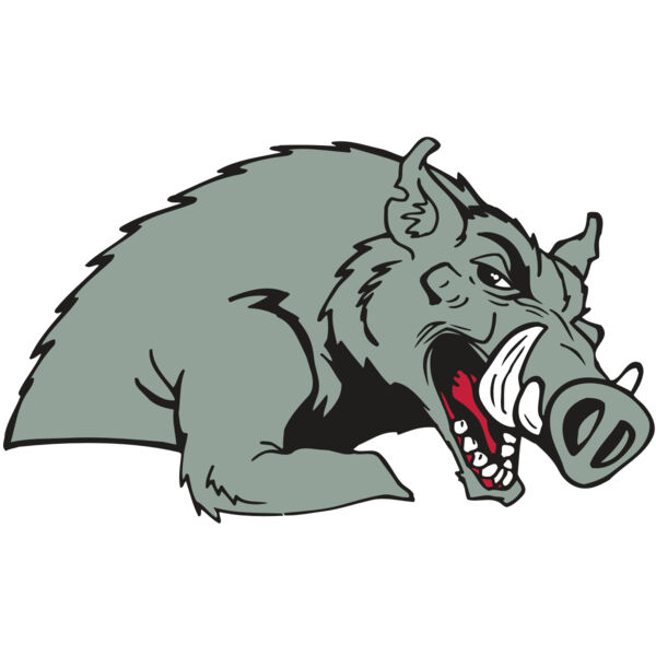 AR RAZORBACK 14 RC Miniaturansicht