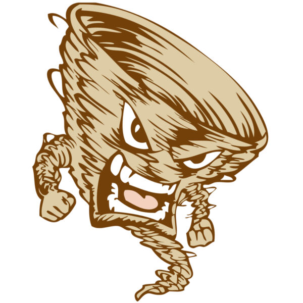 BAW STORM 10 RC Miniaturansicht