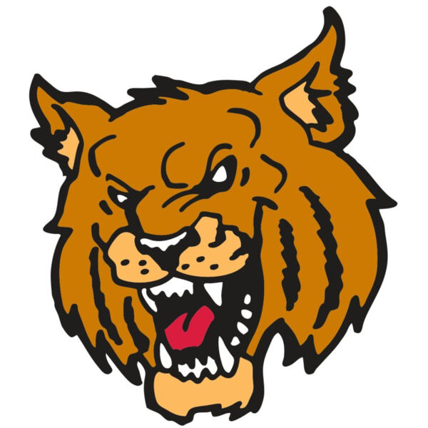 AR WILDCAT 36 RC Miniaturansicht