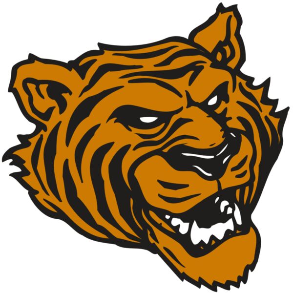 AR TIGER 43 RC Miniaturansicht