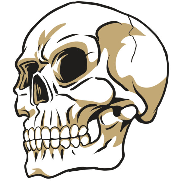 AR24 SKULL 08 RQC Miniaturansicht