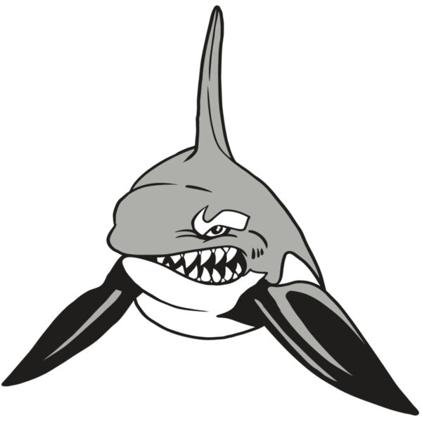 AR19 ORCA 03 RQC Miniaturansicht