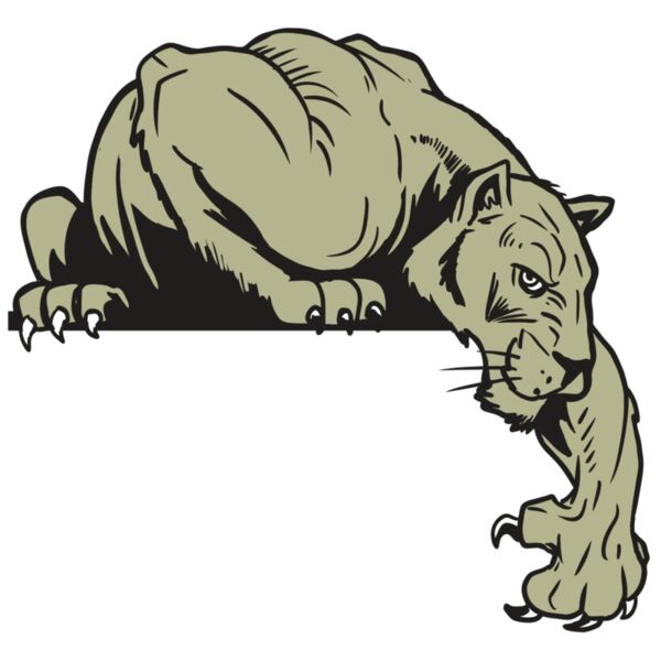 AR10 PANTHER 06 RQC Miniaturansicht