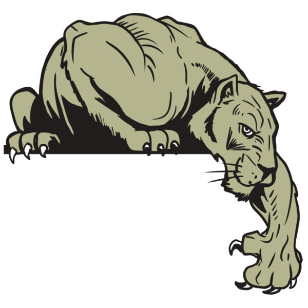 AR10 PANTHER 06 RQC Miniaturansicht