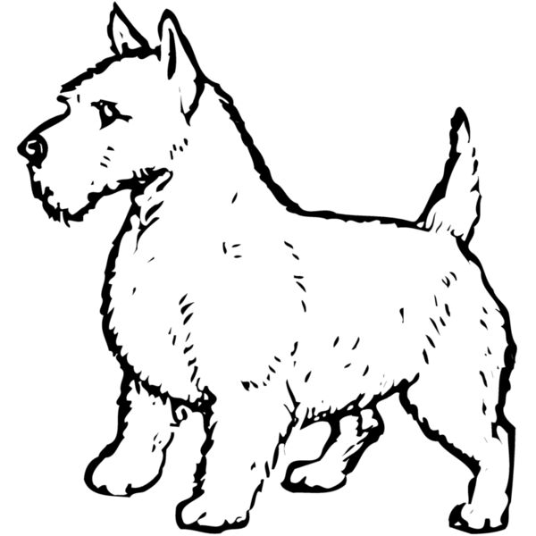 DC0008 Miniaturansicht