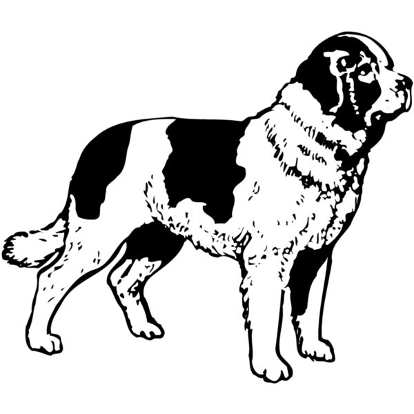 DC0022 Miniaturansicht