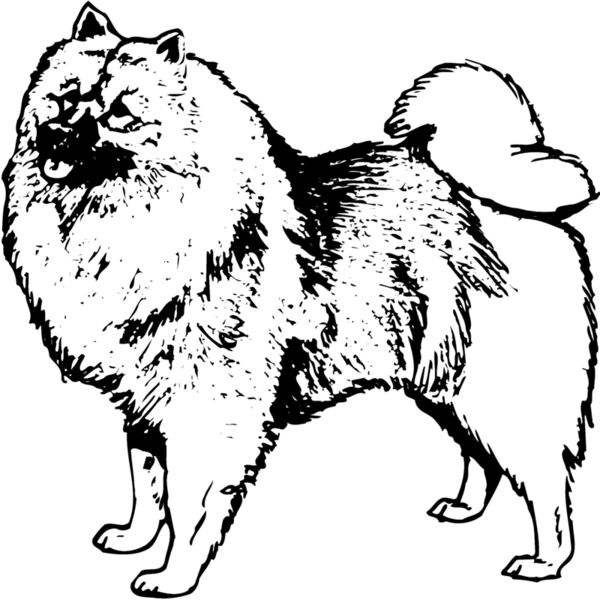 DC0037 Miniaturansicht