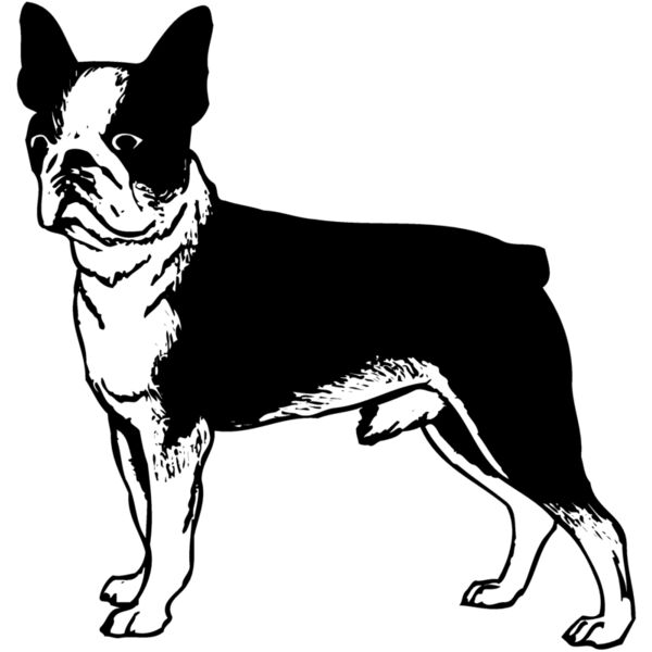 DC0038 Miniaturansicht