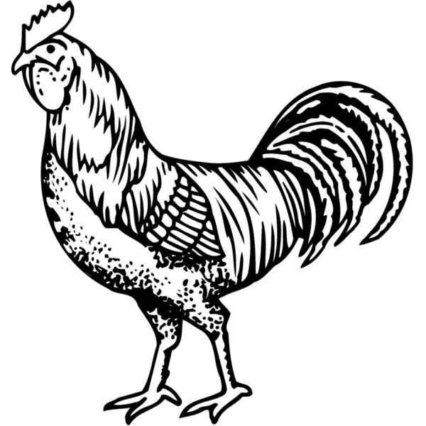 CHICK002 Miniaturansicht