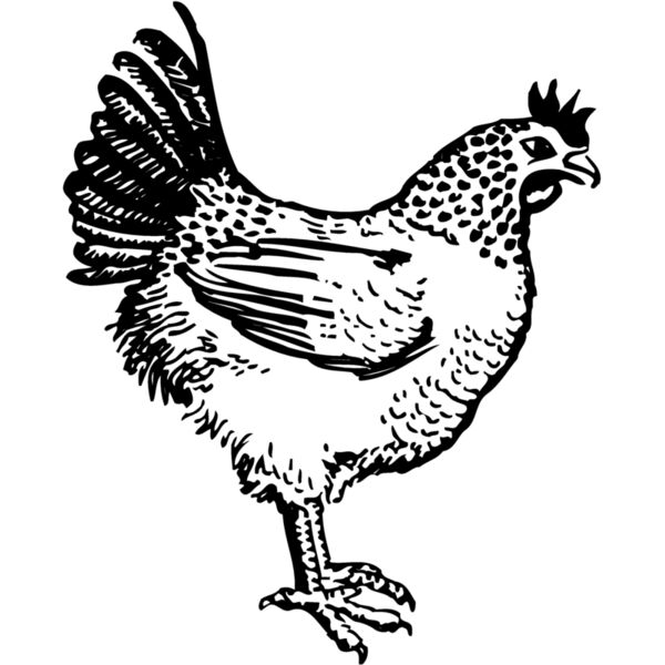 CHICK009 Miniaturansicht