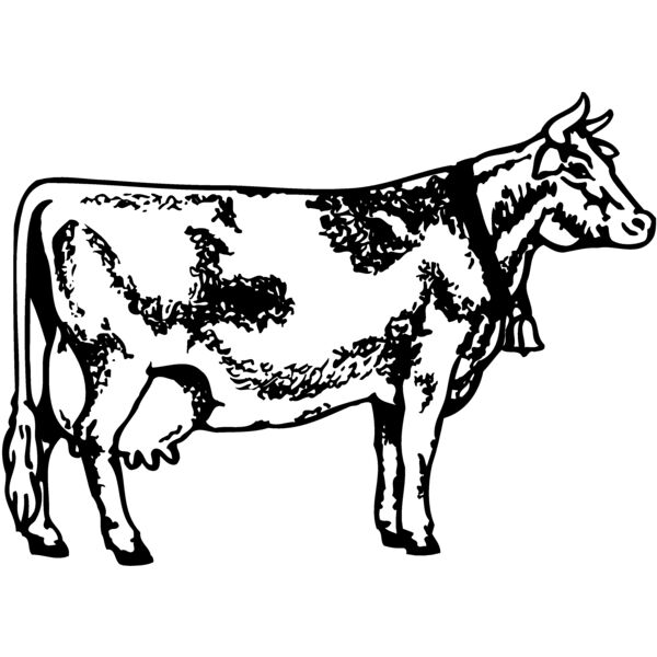 COW031 Miniaturansicht