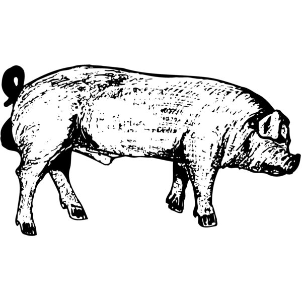 HOG0004 Miniaturansicht