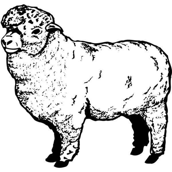 SHEEP004 Miniaturansicht