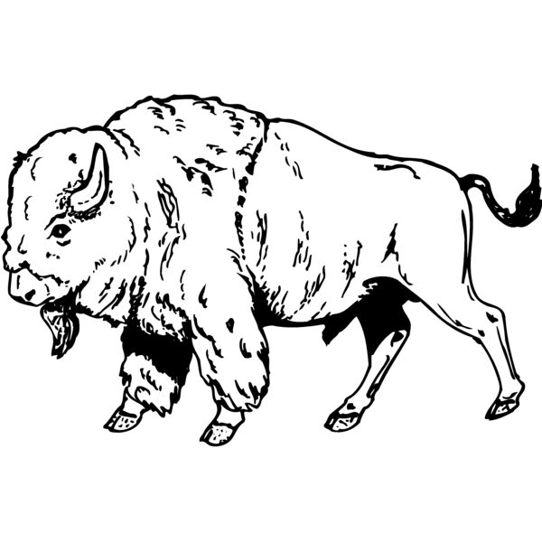 BUFF001 Miniaturansicht