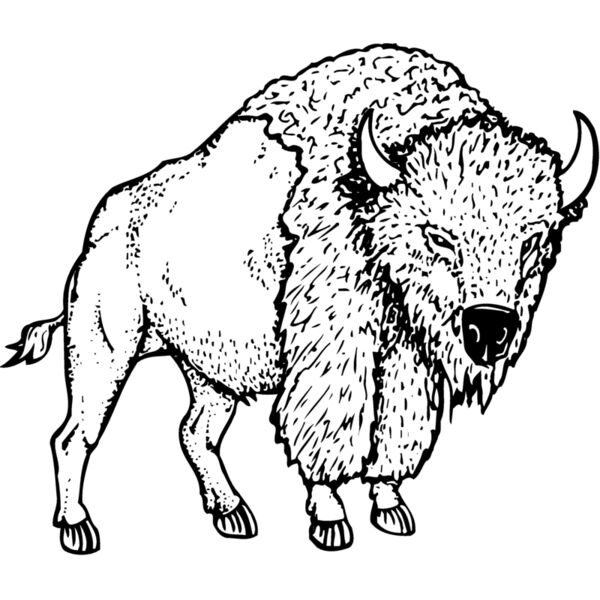 BUFF002 Miniaturansicht