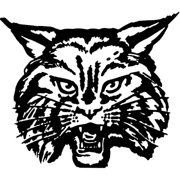 CAT03 Miniaturansicht