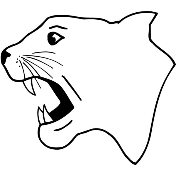 CAT06 Miniaturansicht