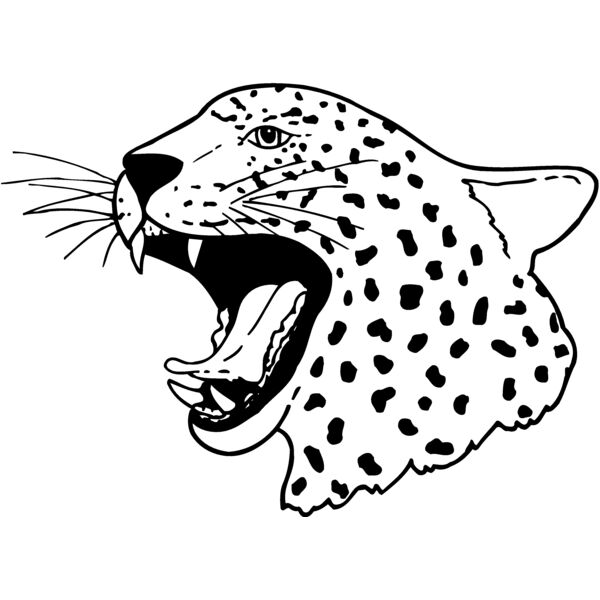 CAT13 Miniaturansicht