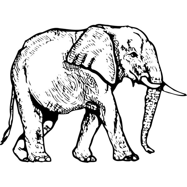 ELEPH004 Miniaturansicht