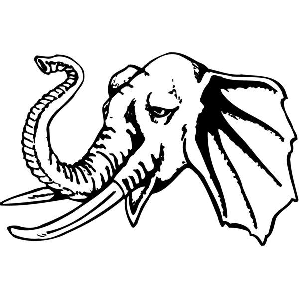 ELEPH008 Miniaturansicht