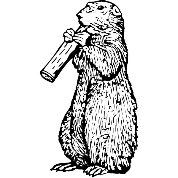 GOPHER02 Miniaturansicht