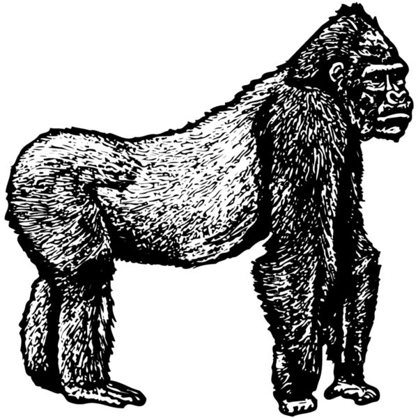 MONK002 Miniaturansicht