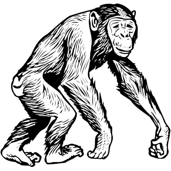 MONK006 Miniaturansicht