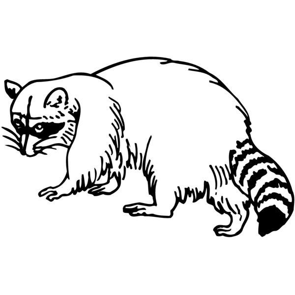 COON003 Miniaturansicht