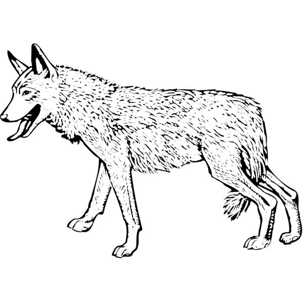 F_W004 Miniaturansicht