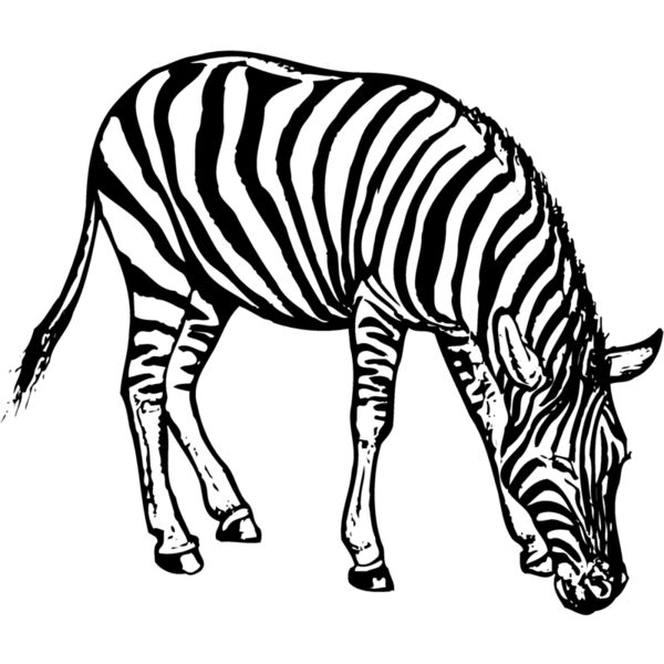 ZEBRA001 Miniaturansicht