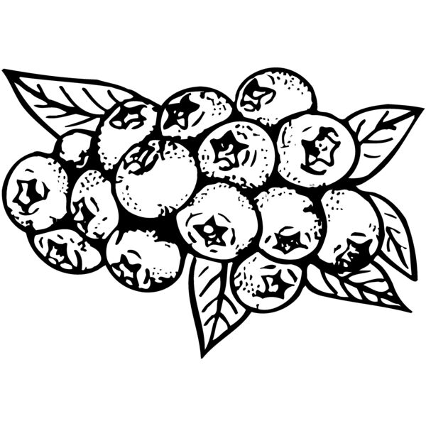 FRUIT037 Miniaturansicht