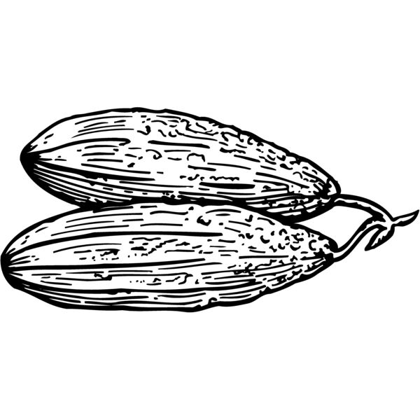 VEG005 Miniaturansicht